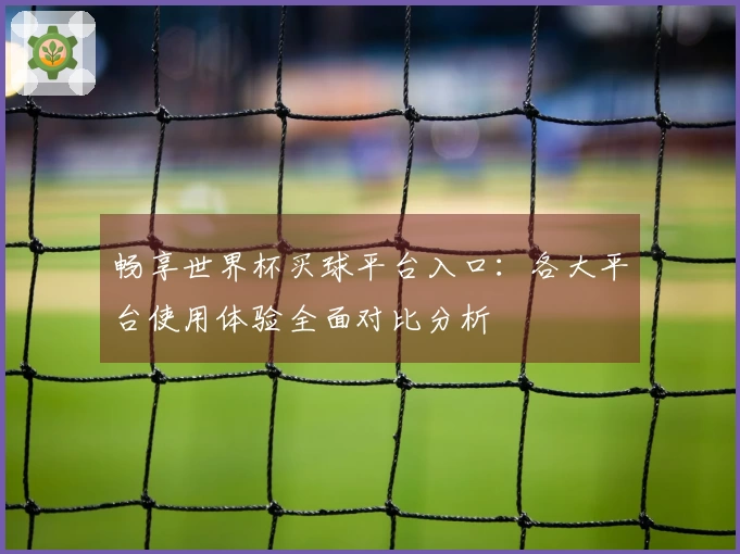 畅享世界杯买球平台入口：各大平台使用体验全面对比分析