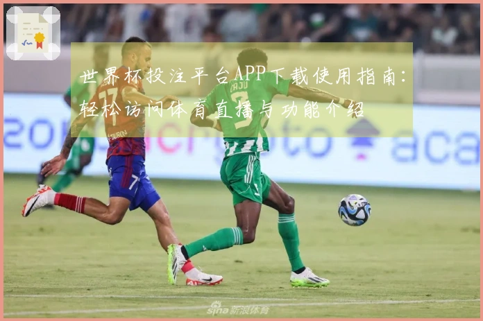 世界杯投注平台APP下载使用指南：轻松访问体育直播与功能介绍