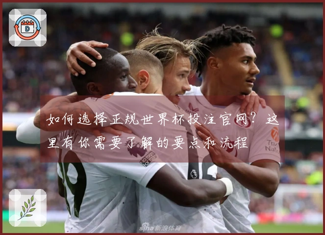 如何选择正规世界杯投注官网？这里有你需要了解的要点和流程