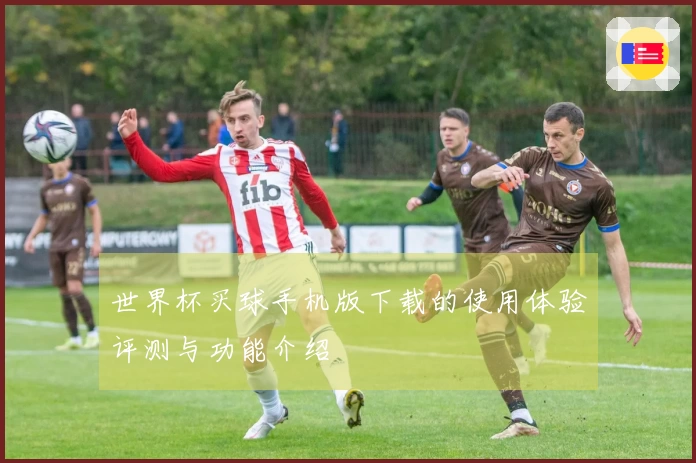 世界杯买球手机版下载的使用体验评测与功能介绍