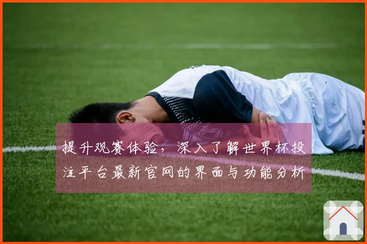 提升观赛体验，深入了解世界杯投注平台最新官网的界面与功能分析