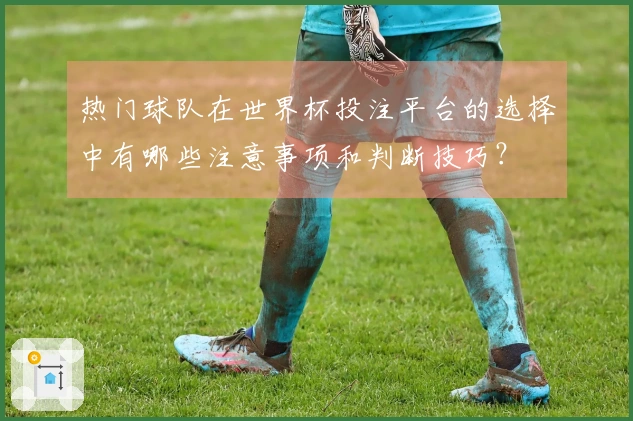 热门球队在世界杯投注平台的选择中有哪些注意事项和判断技巧？