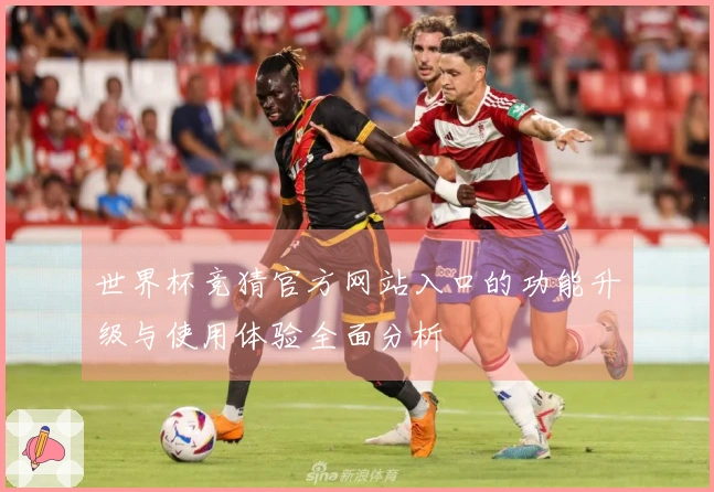 世界杯竞猜官方网站入口的功能升级与使用体验全面分析