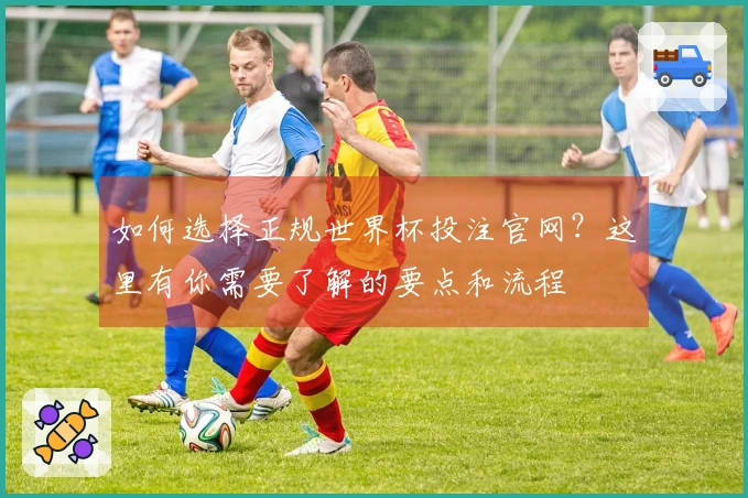 如何选择正规世界杯投注官网?这里有你需要了解的要点和流程