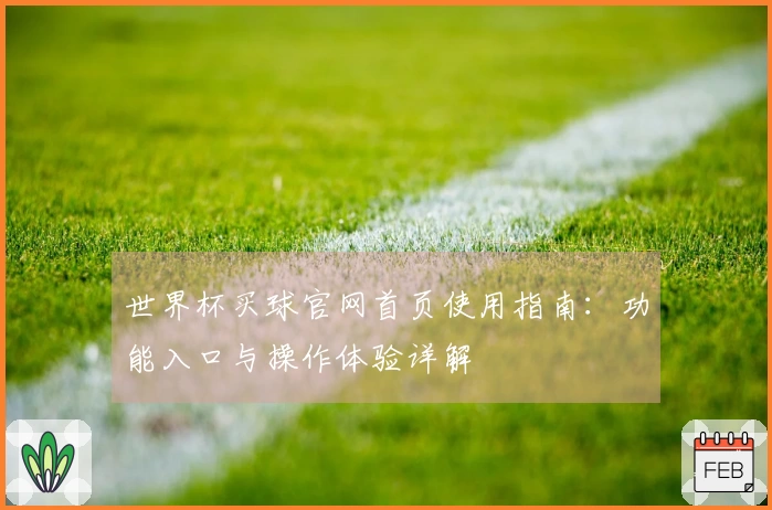 世界杯买球官网首页使用指南:功能入口与操作体验详解