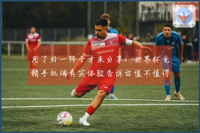 用了好一阵子才来分享，世界杯竞猜手机端真实体验告诉你值不值得